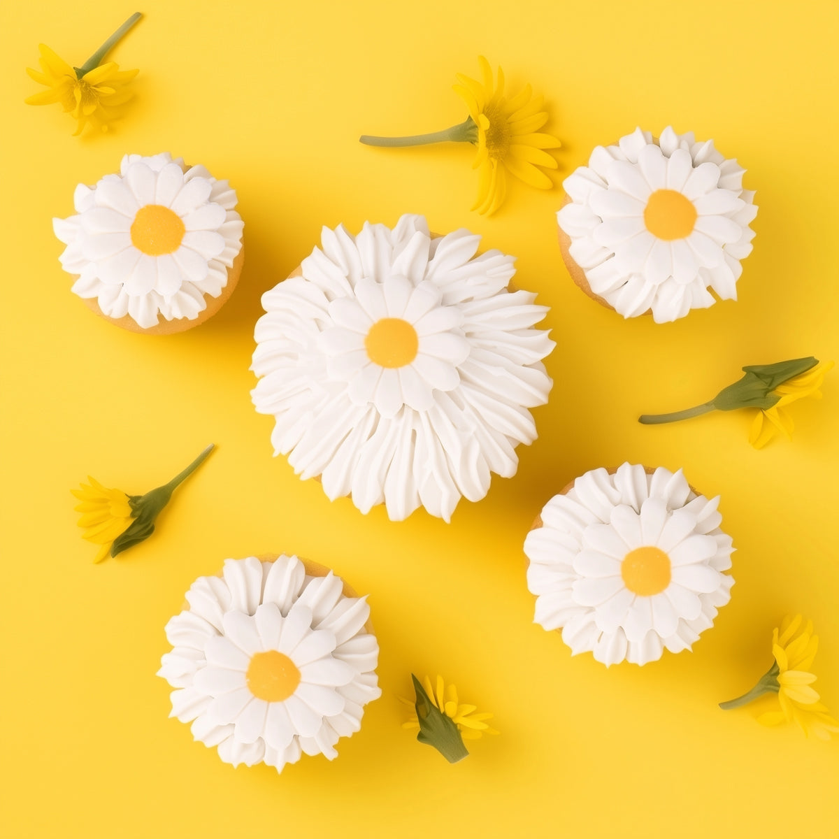 SPRINKS Icing Decorations - DAISY (8 pieces)