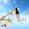 Sprinks NATURAL VANILLA Flavour (15ml)**